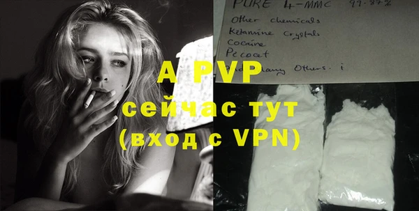 a pvp Абаза