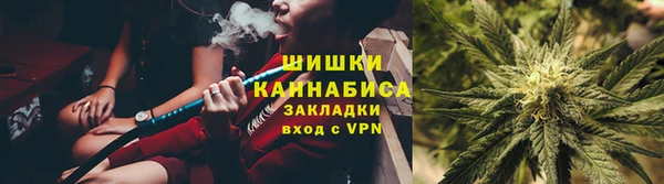 сатива Абинск