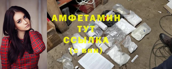 сатива Абинск