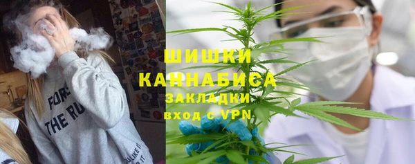 сатива Абинск