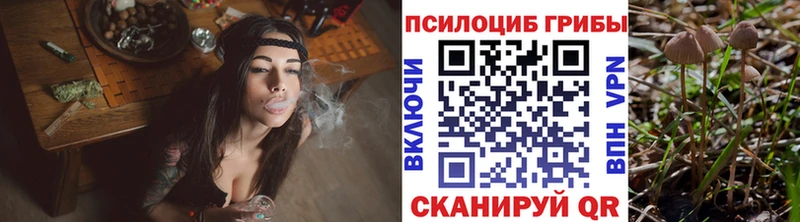 Галлюциногенные грибы GOLDEN TEACHER Щучье